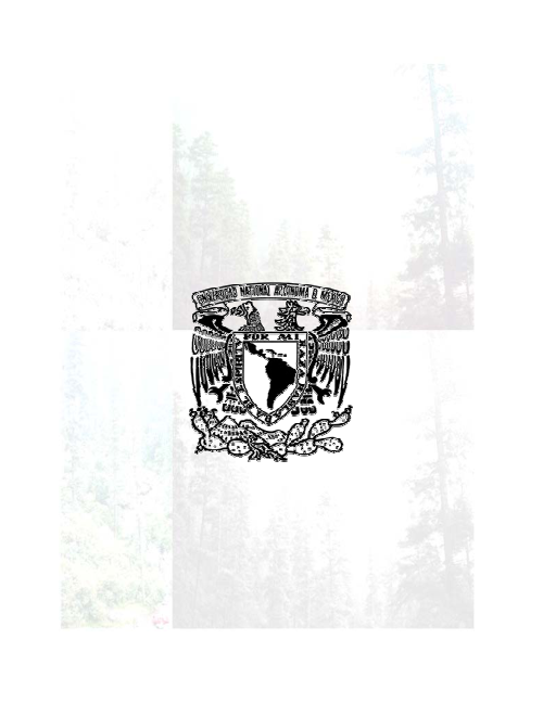 3505923.png